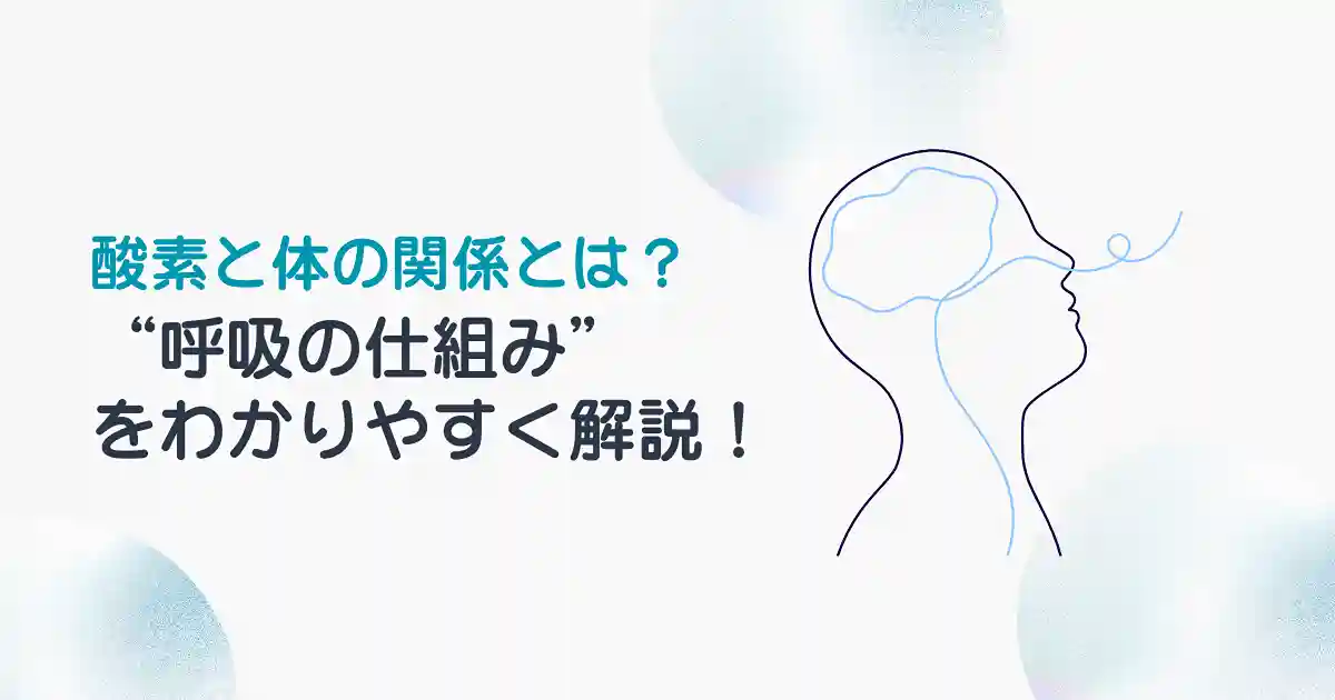 呼吸の仕組みをわかりやすく解説！酸素と体の関係とは？